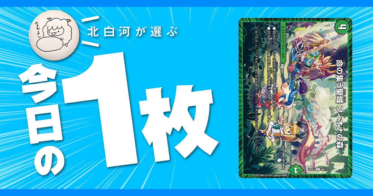 【北白河の今日の一枚】vol.163《命の集う聖域 フィオナの森》森にゴミを捨てるな